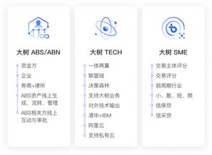 大樹金融完成Pre-A輪融資，以流程風(fēng)控賦能中小企業(yè)，投后估值達(dá)20億元